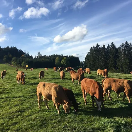 Appartamento Hofgut Schwoererhof *