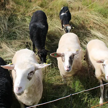 Hofgut Schwoererhof Appartamento