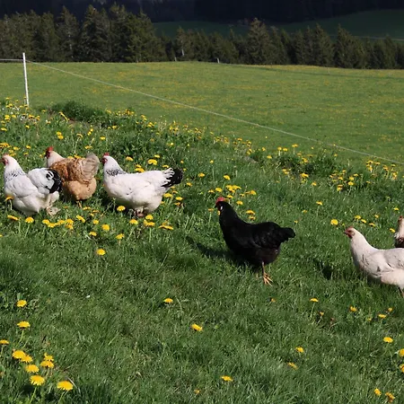 Hofgut Schwoererhof Appartamento Titisee-Neustadt