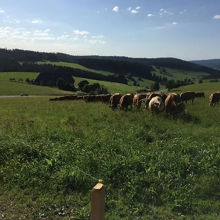 Hofgut Schwoererhof *