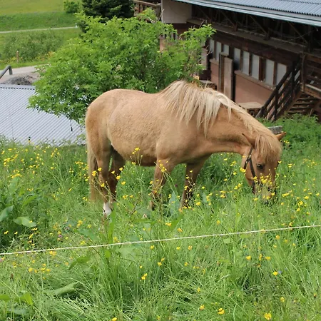 Appartamento Hofgut Schwoererhof