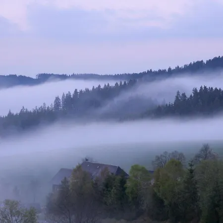 Appartamento Hofgut Schwoererhof Titisee-Neustadt